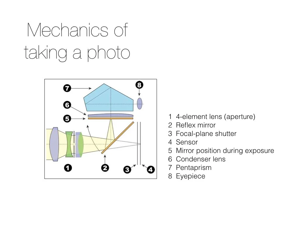 intro_to_photo_may_2019.022.jpeg