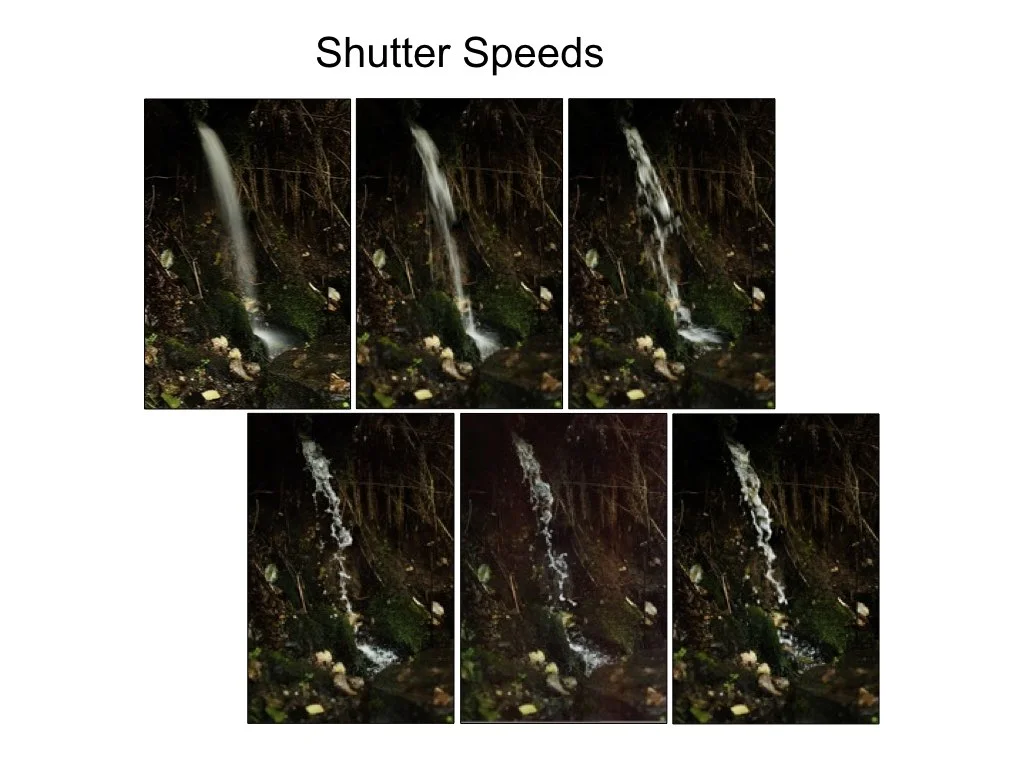 intro_to_photo_may_2019.029.jpeg