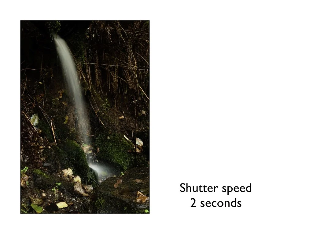 intro_to_photo_may_2019.030.jpeg