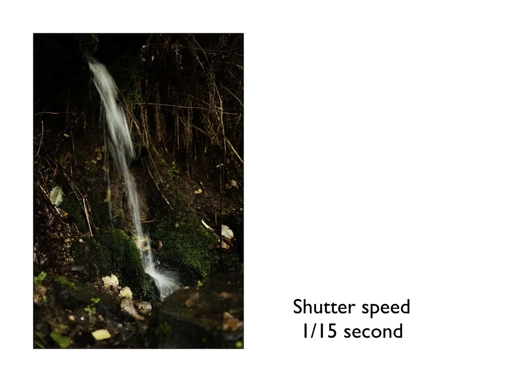 intro_to_photo_may_2019.031.jpeg