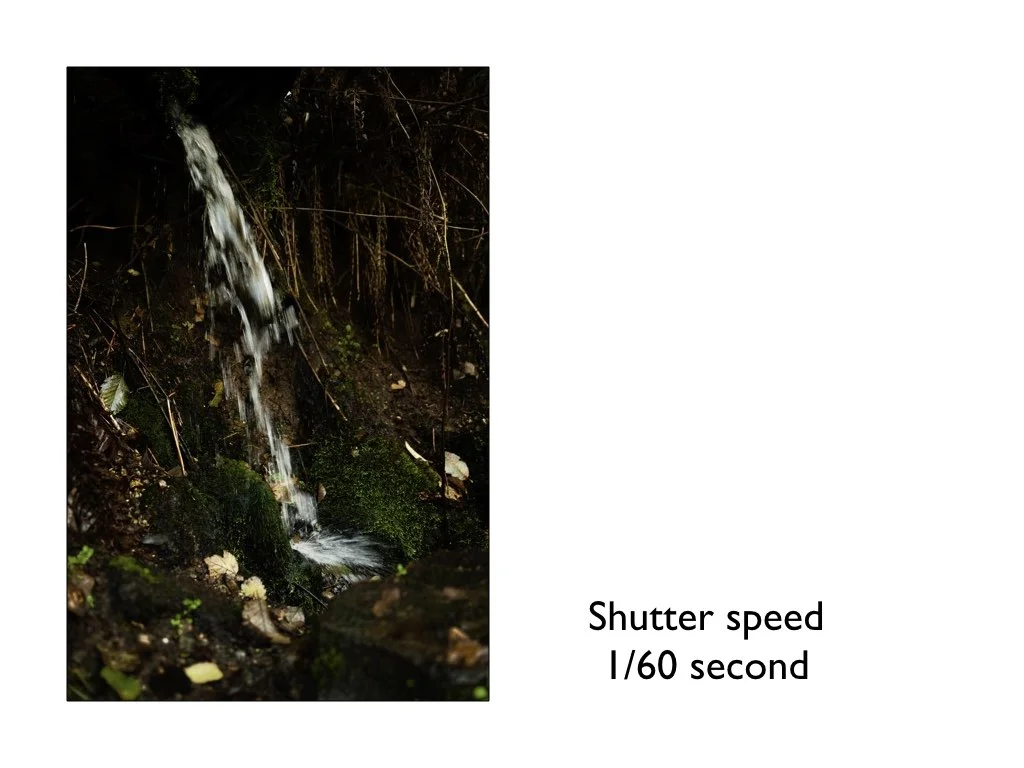intro_to_photo_may_2019.032.jpeg