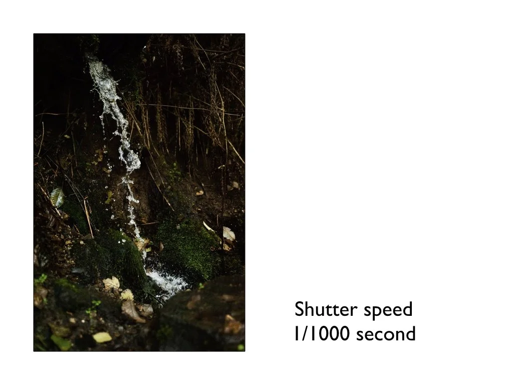 intro_to_photo_may_2019.034.jpeg