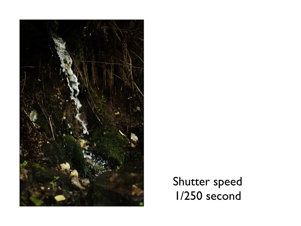 intro_to_photo_may_2019.033.jpeg