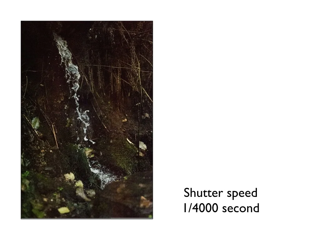 intro_to_photo_may_2019.035.jpeg