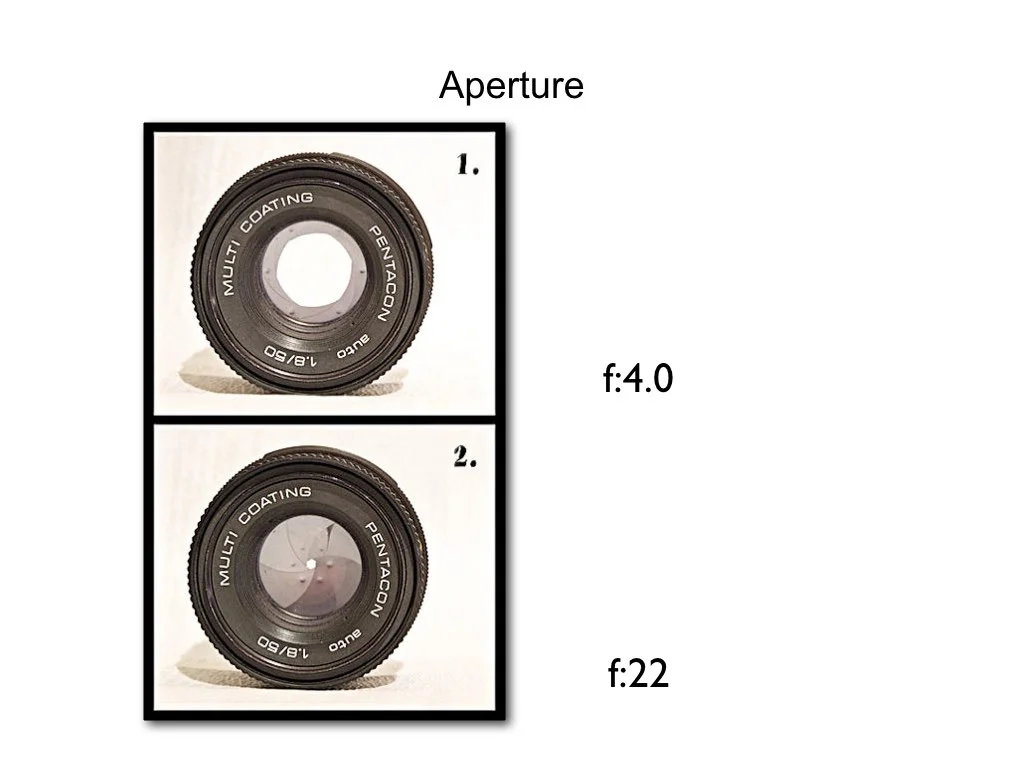 intro_to_photo_may_2019.038.jpeg