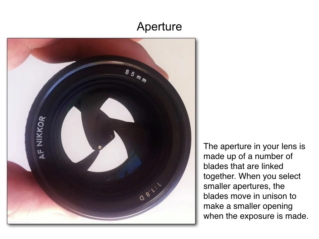 intro_to_photo_may_2019.037.jpeg
