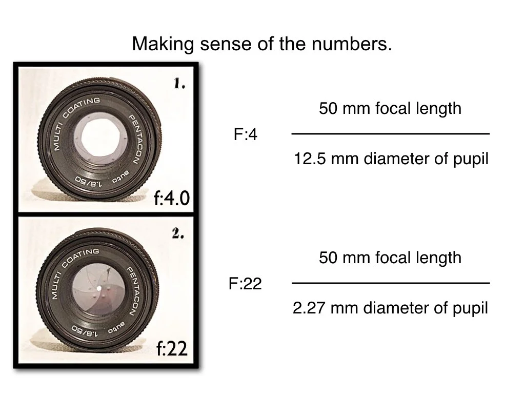 intro_to_photo_may_2019.042.jpeg