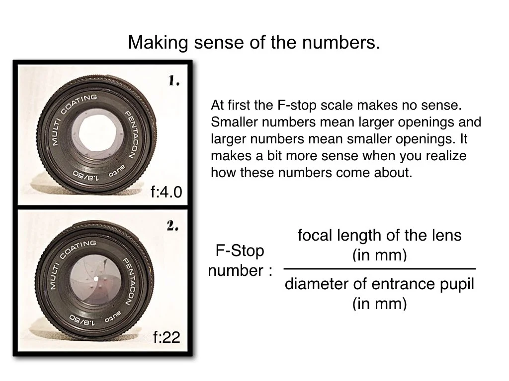 intro_to_photo_may_2019.041.jpeg