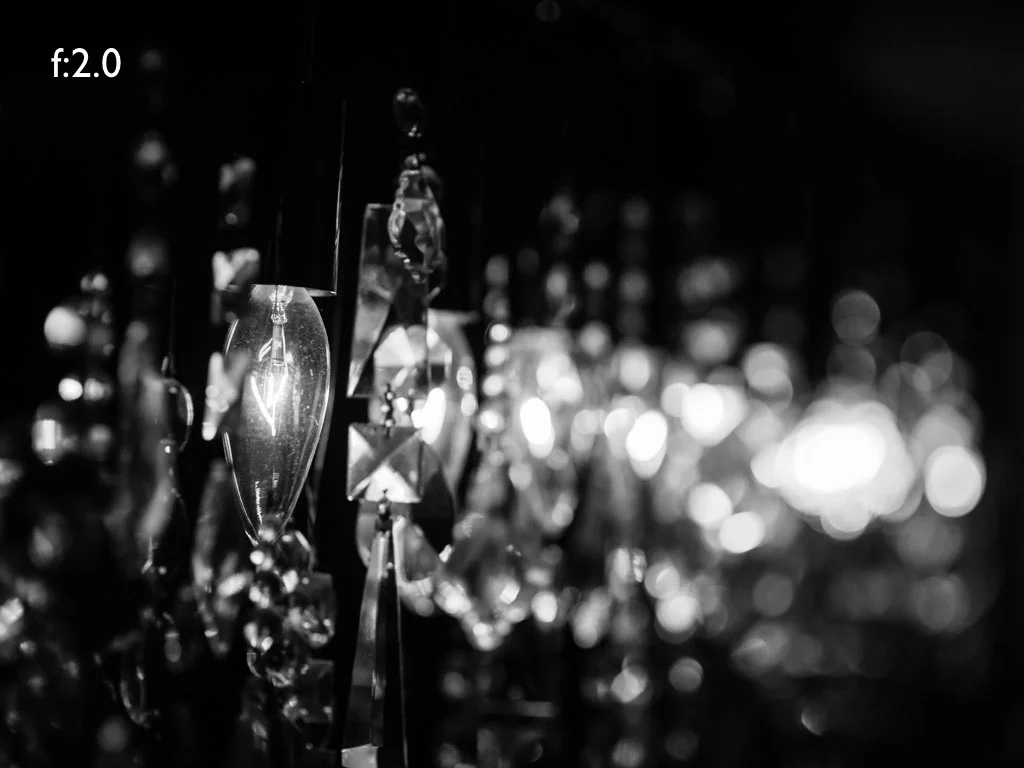 intro_to_photo_may_2019.046.jpeg