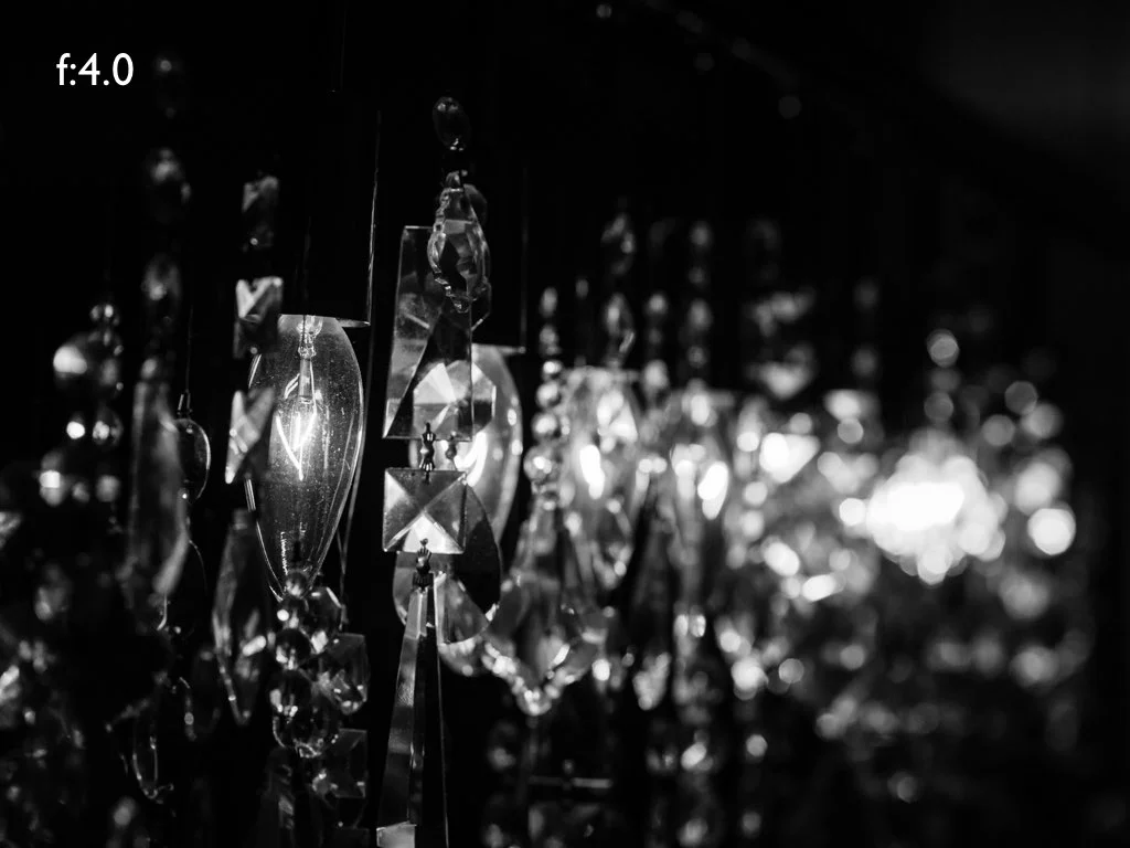 intro_to_photo_may_2019.047.jpeg