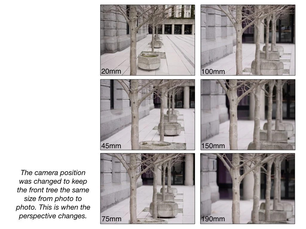 intro_to_photo_may_2019.063.jpeg