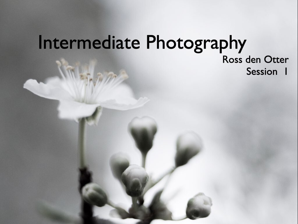 Shadbolt_intermediate_photo_session_1.001.jpeg