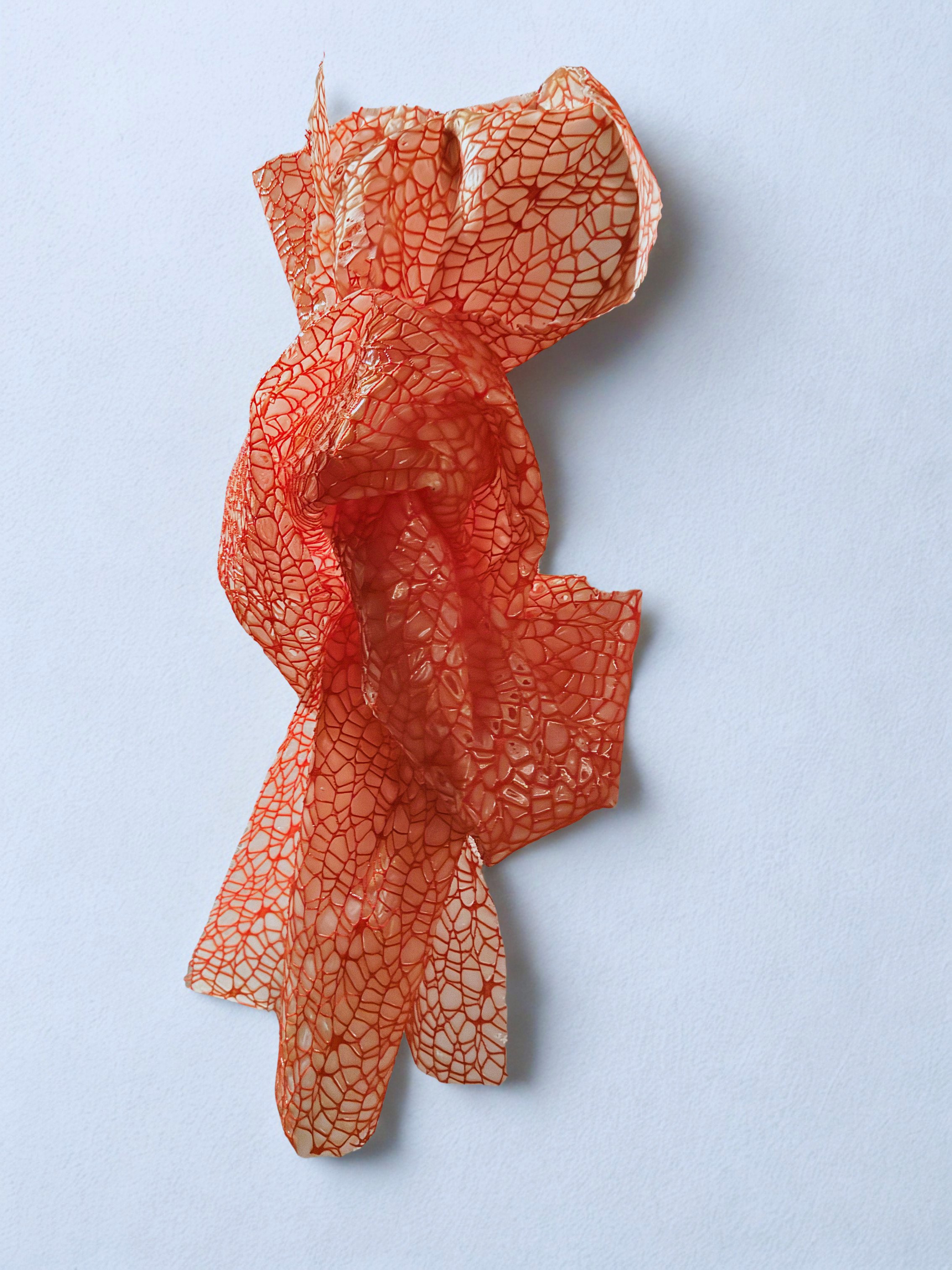 Lauren Faith Dawson - Knot.jpg