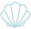 shell.png