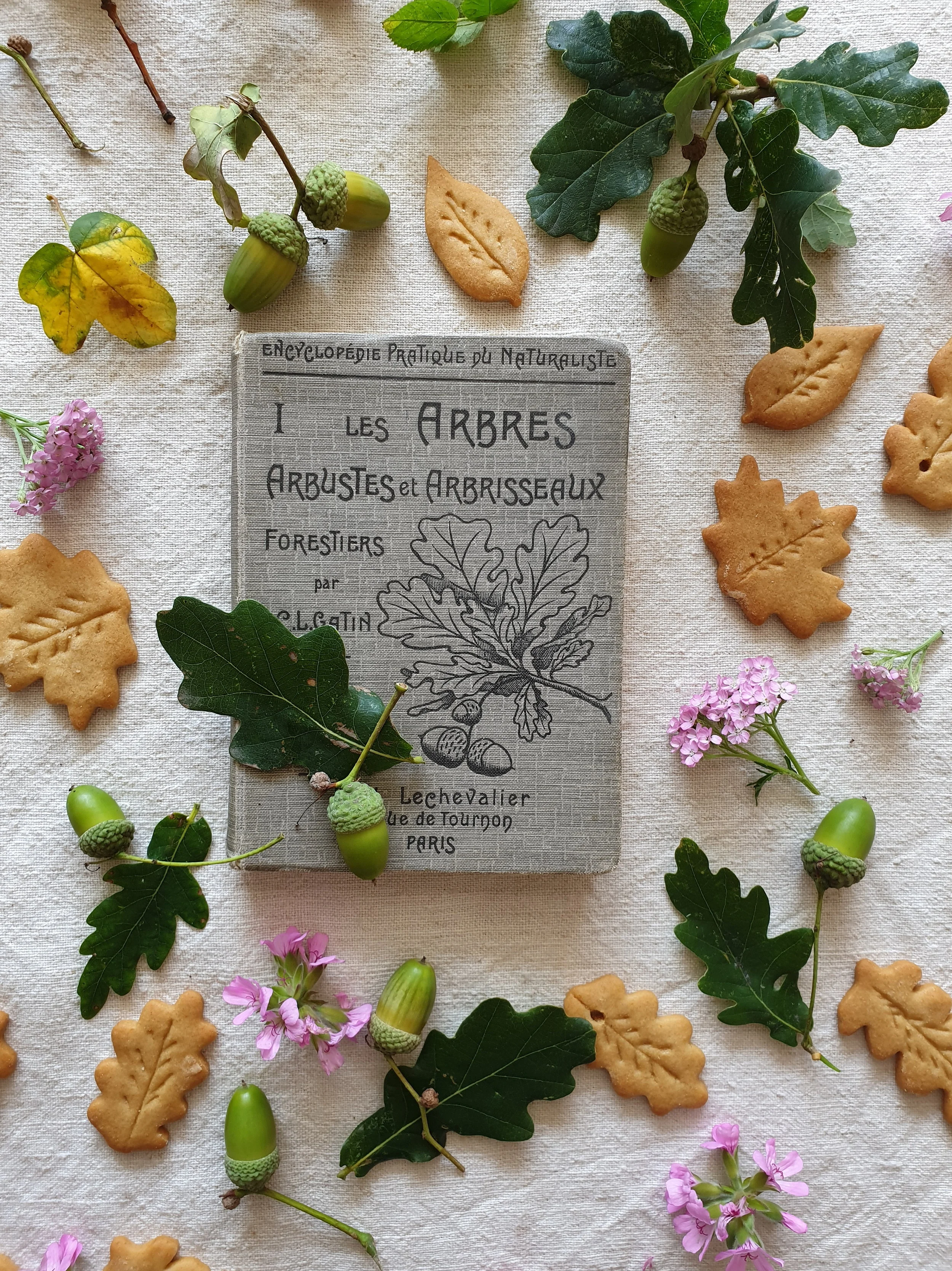 Autumn Spiced Biscuits 
