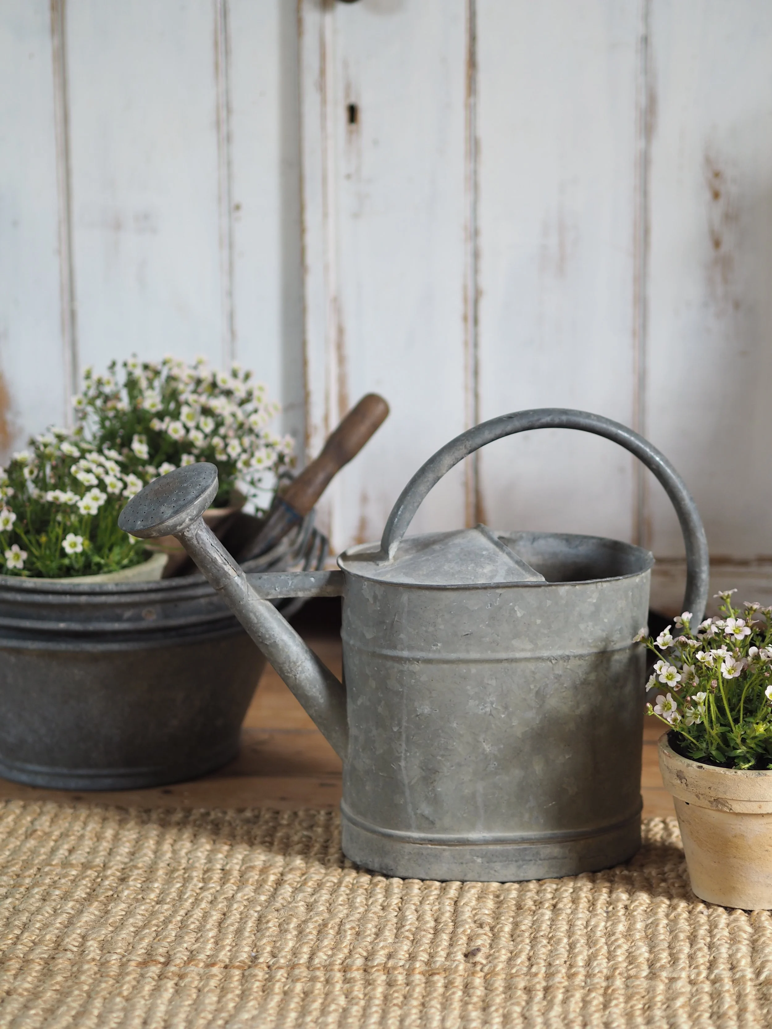 Vintage French Watering Can - Small