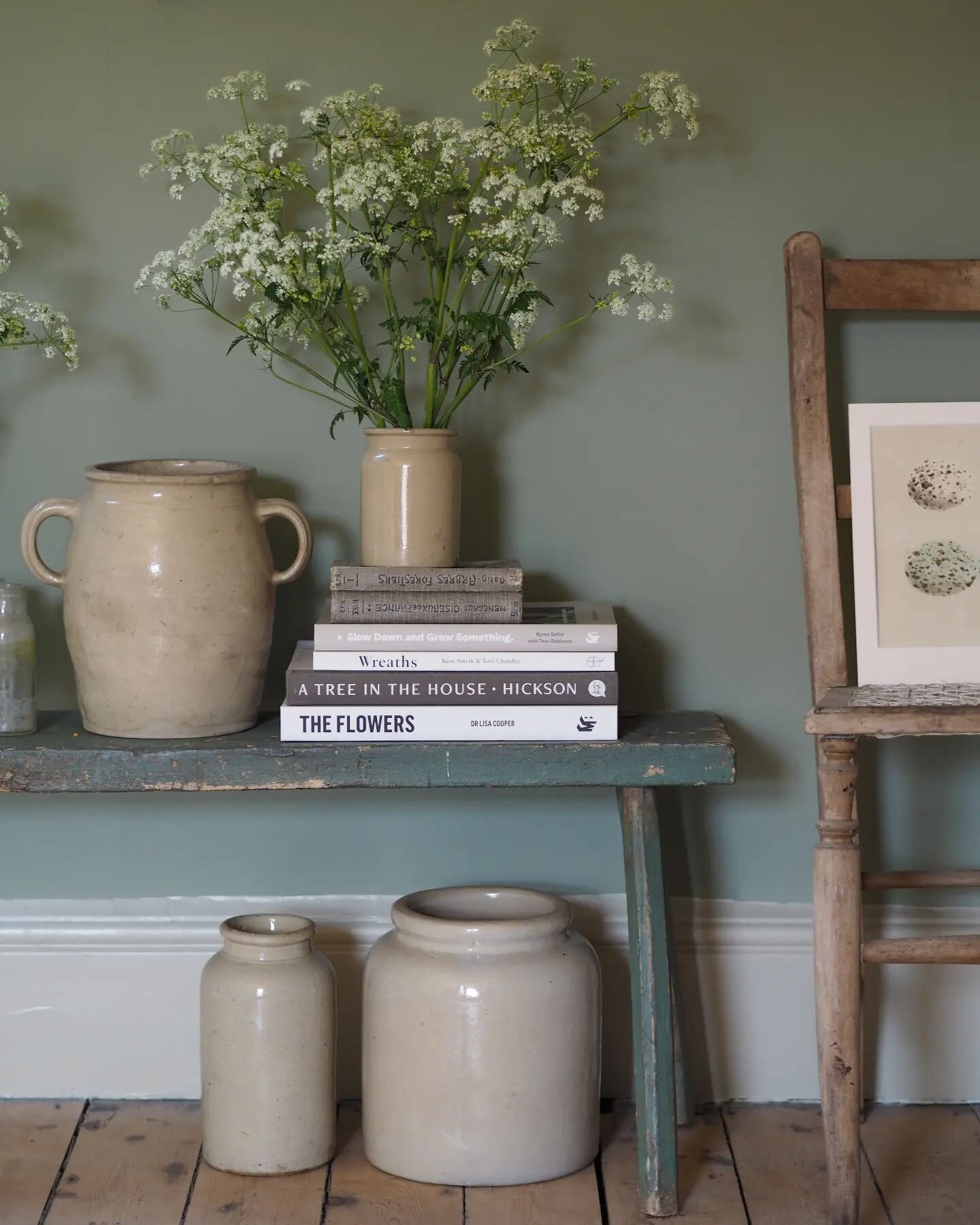 Patiently waiting for cow parsley season 🌿. 
And the sunshine too!

Happy Friday everyone and have a lovely weekend.
 I'm hoping to plant the first of my seedlings out at the allotment, how about you? 
Any lovely plans?

X

#brocantehome #savourthes