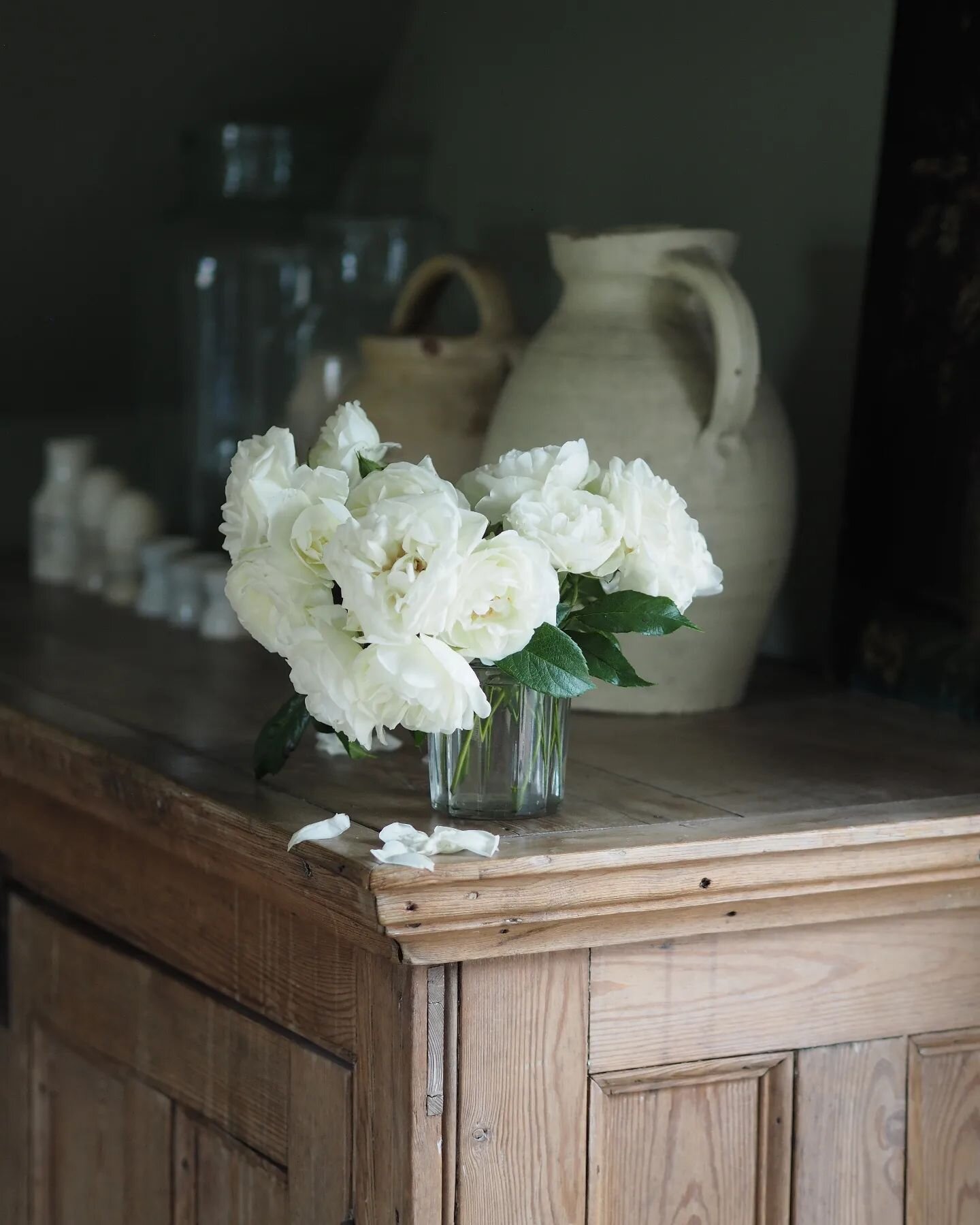 Roses from the garden, they have the most beautiful scent. Definitely need to grow more! Do you have a favourite? 🌿

X

 #savourtheseasonalshift #aseasonalshift #stylingtheseasons #embracingtheseasonsathome #slowsimpleseasonal #realflowersoftheseaso