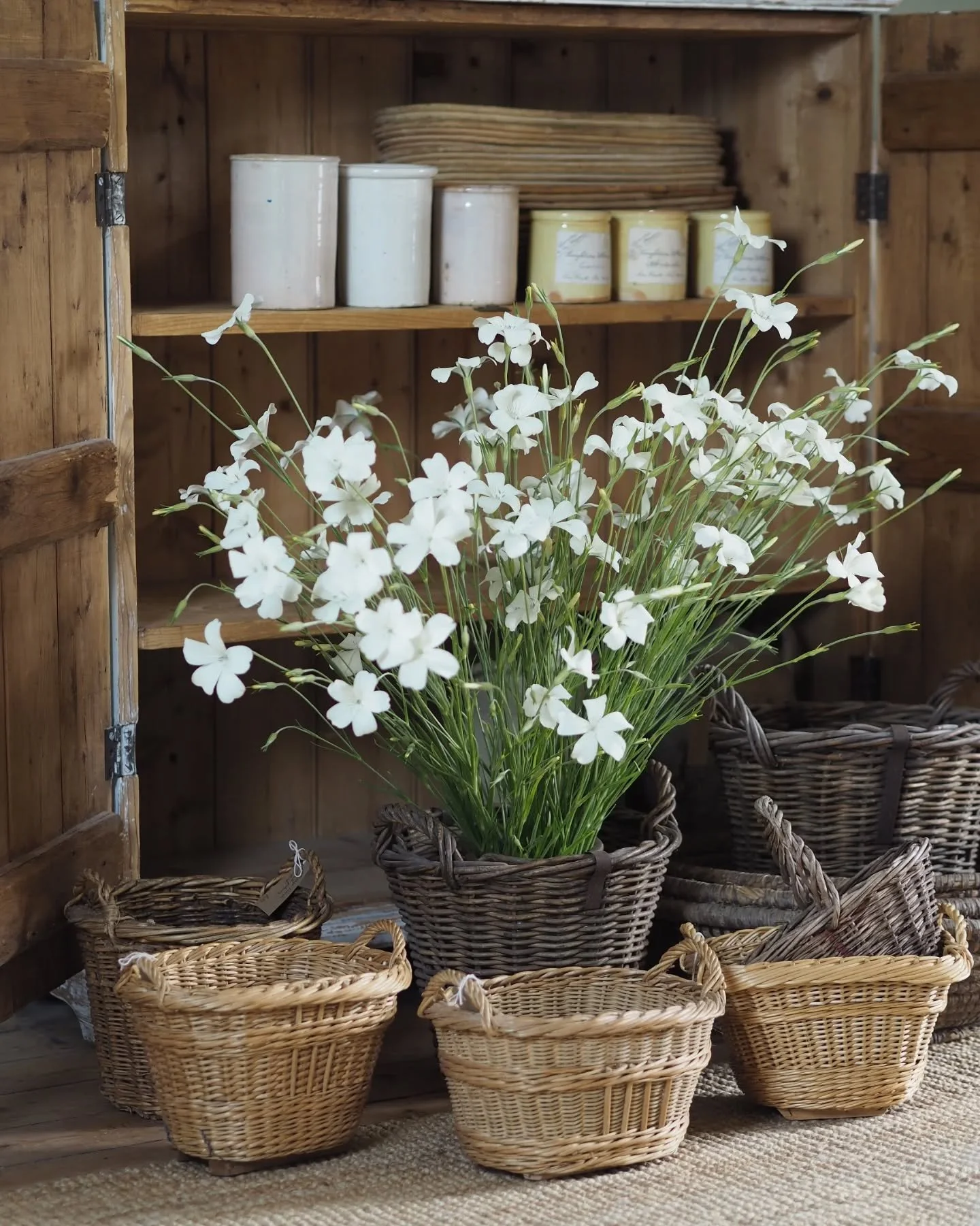 Life recently 🌿✨️ 

Styling new finds, a trolley full of treasures, our stall at a recent market and my favourite flower blooming at the allotment.

Fresh brocante finds heading to the website and fairs soon! 

X

#fleamarketfinds #brocantehome #rus