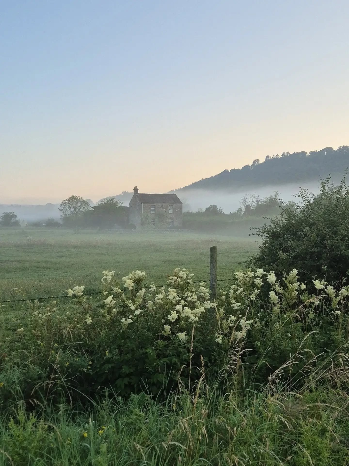 Summer moments ✨️ 

Captures from the last few weeks. 

A beautiful very early morning walk with Albert ( the only good thing about the heatwave ). 

Brocante finds and our stall at a recent market.

Picking sweetpeas at the allotment.

Making a summ