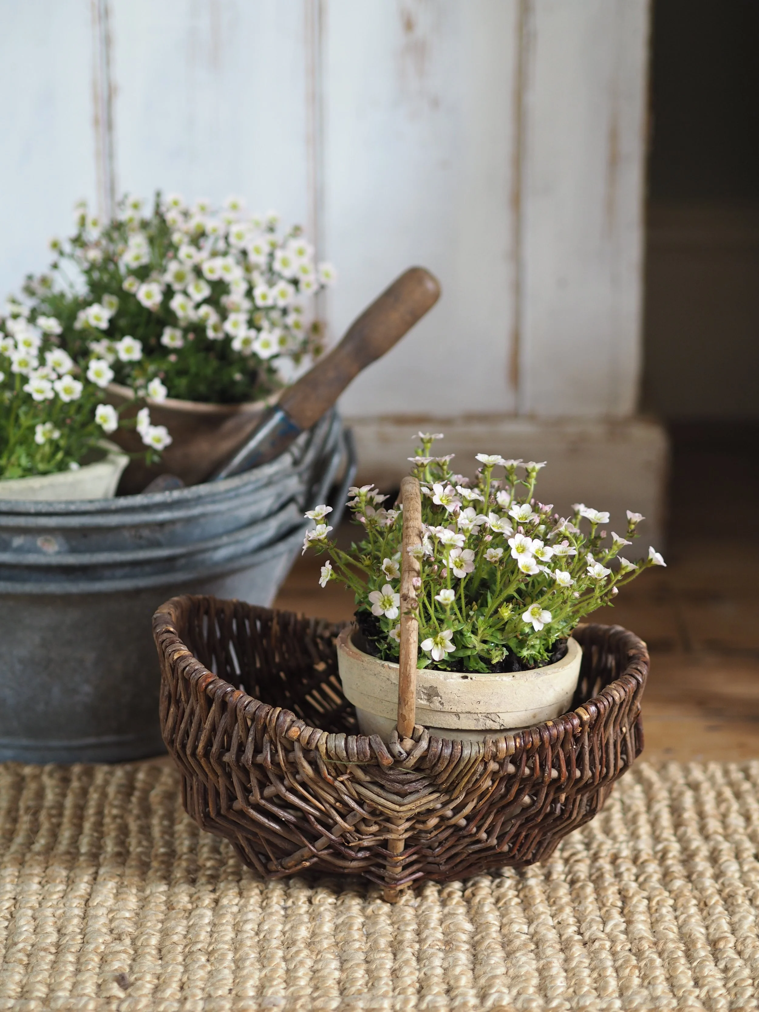 Vintage French Herb Basket - Tiny