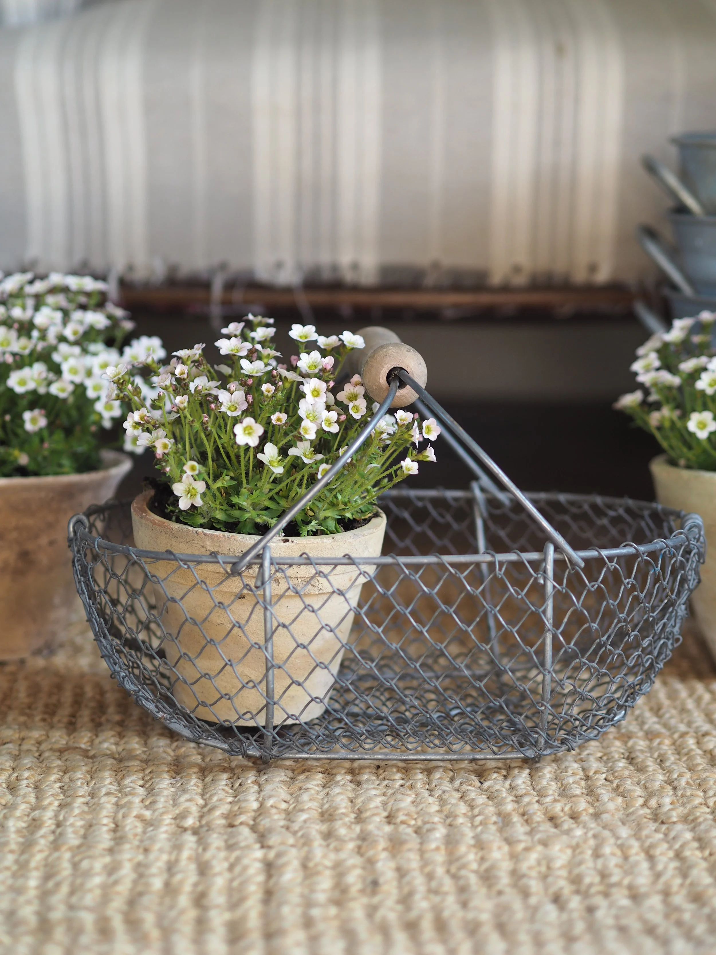 Vintage French Wire Basket - Small