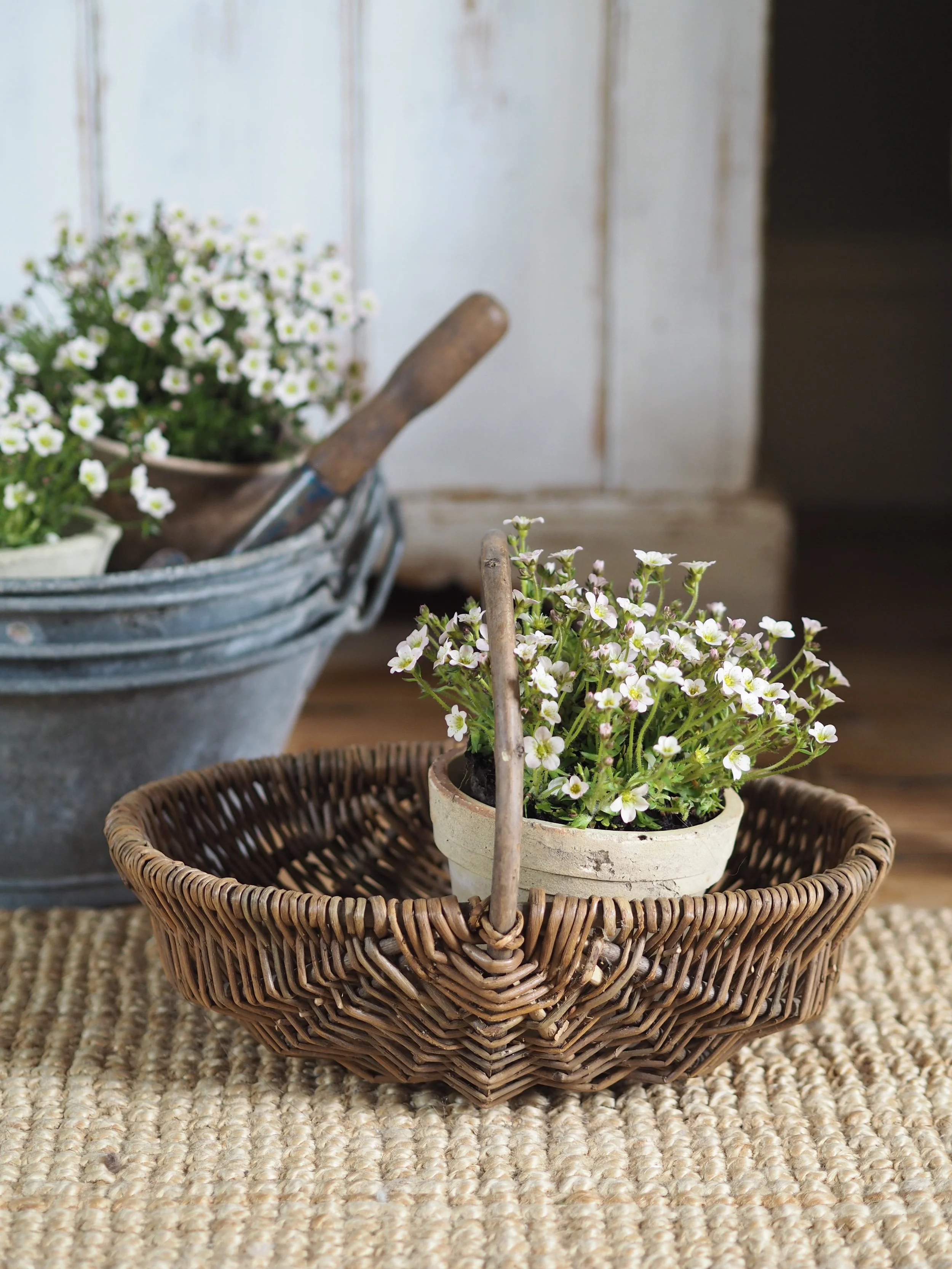 Vintage French Basket - Small