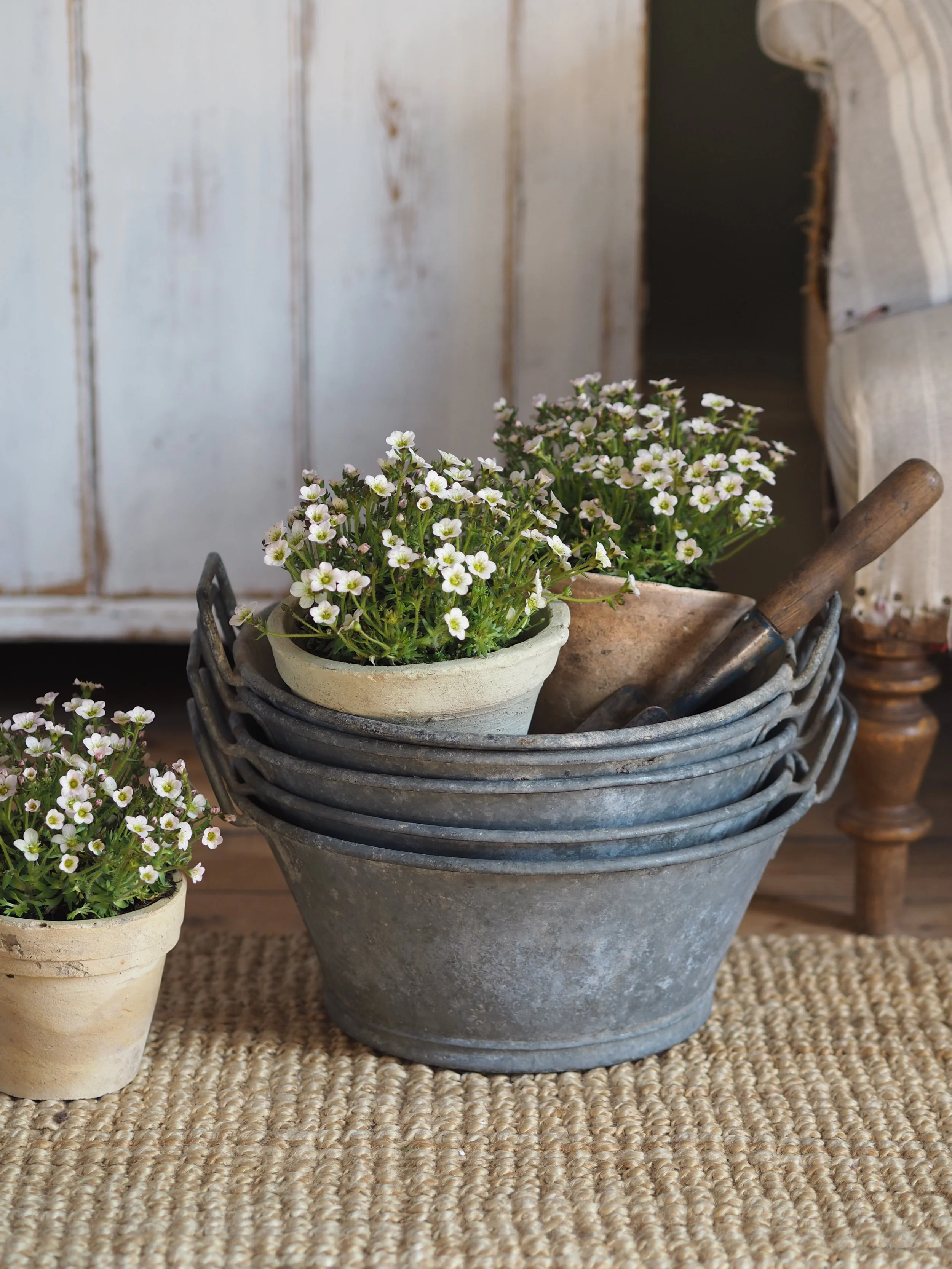 Vintage French Galvanised Tub - Tiny