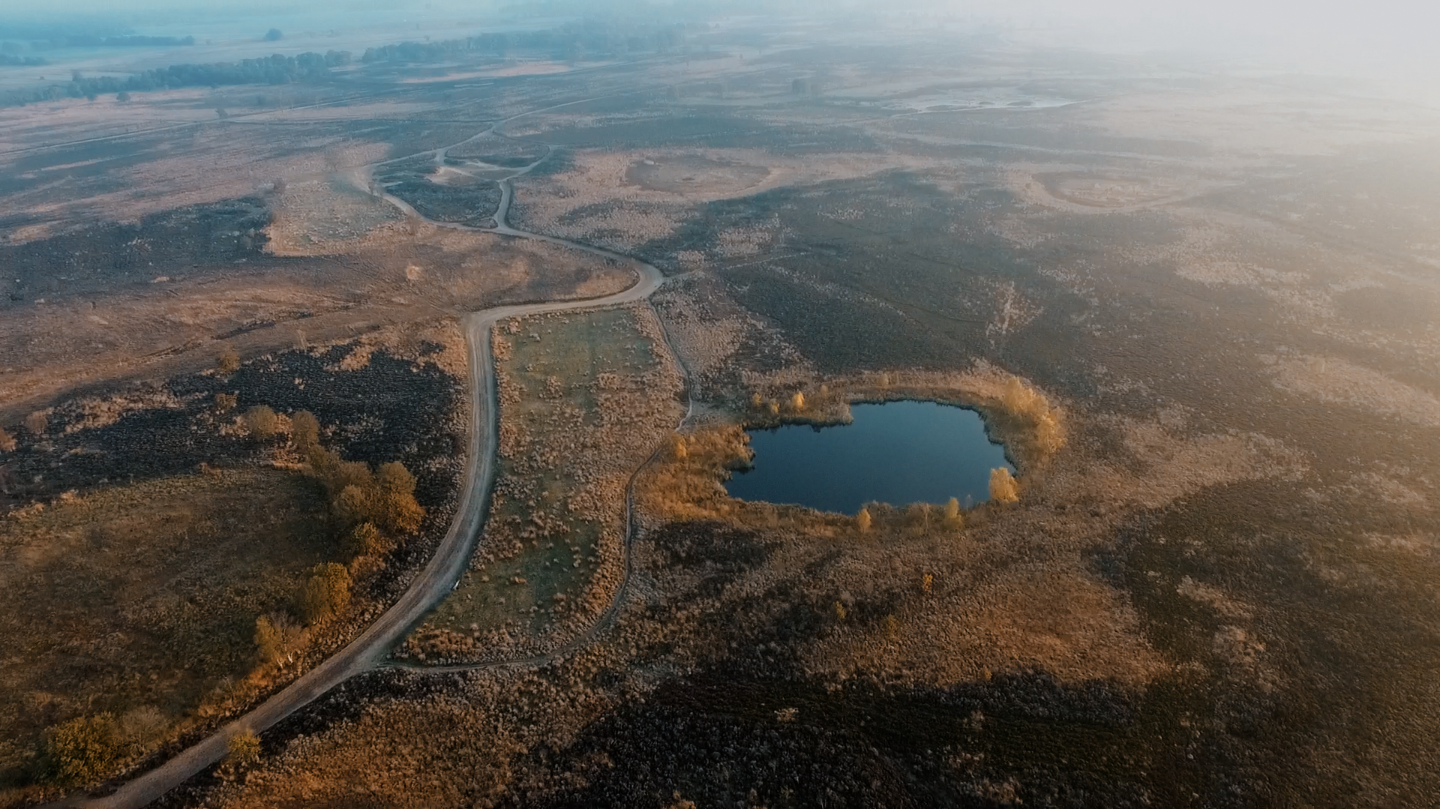 Fotografie_Balloerveld.png