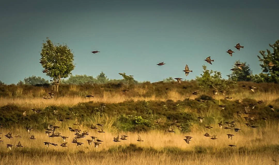 Fotografie: Erik Meijerink, www.mooielandschappen.nl