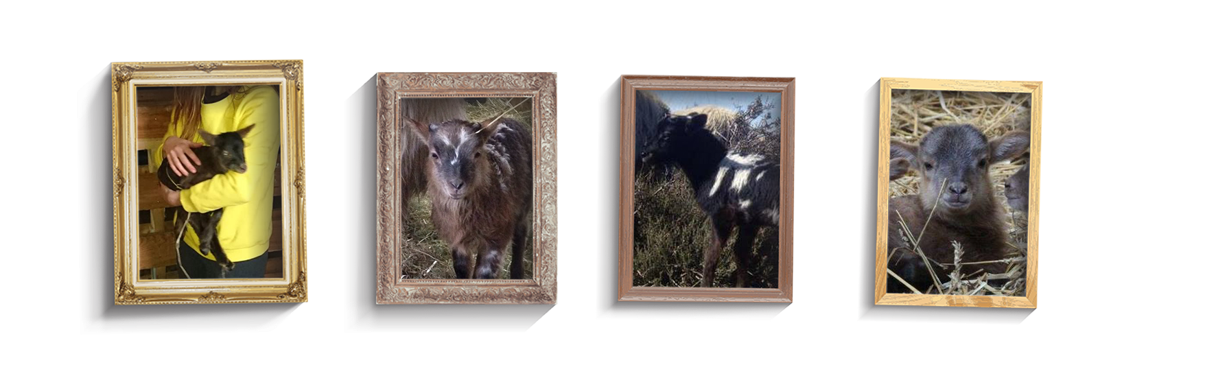 Adoptie_Fotolijstjes.png