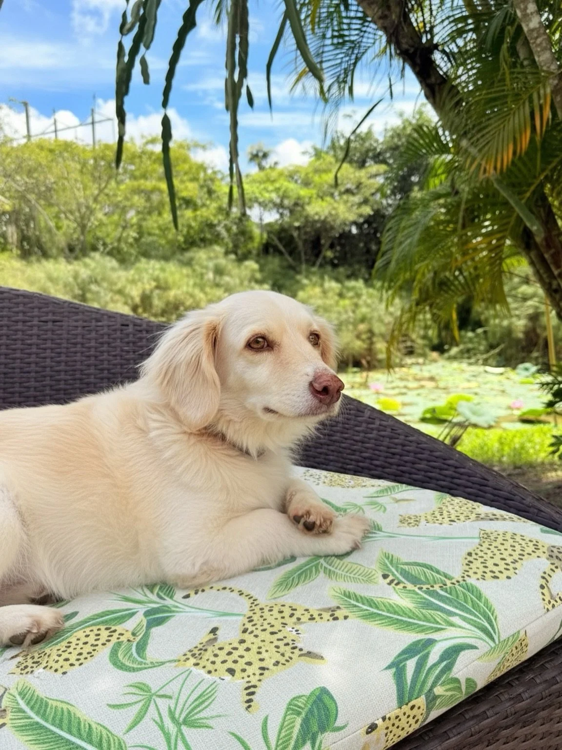 Dorita en semana de reflexi&oacute;n. 🙏