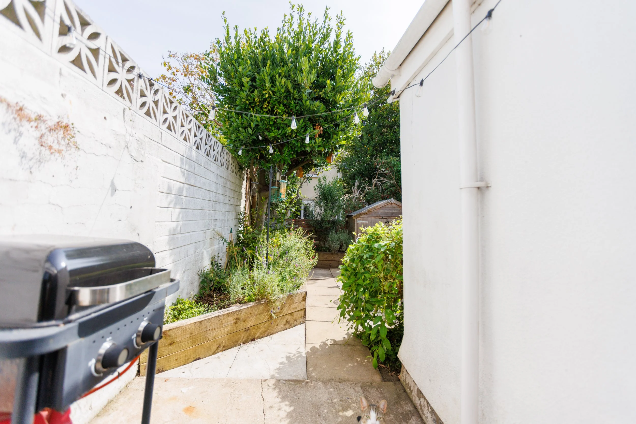 13 Camerton Road--23.jpg