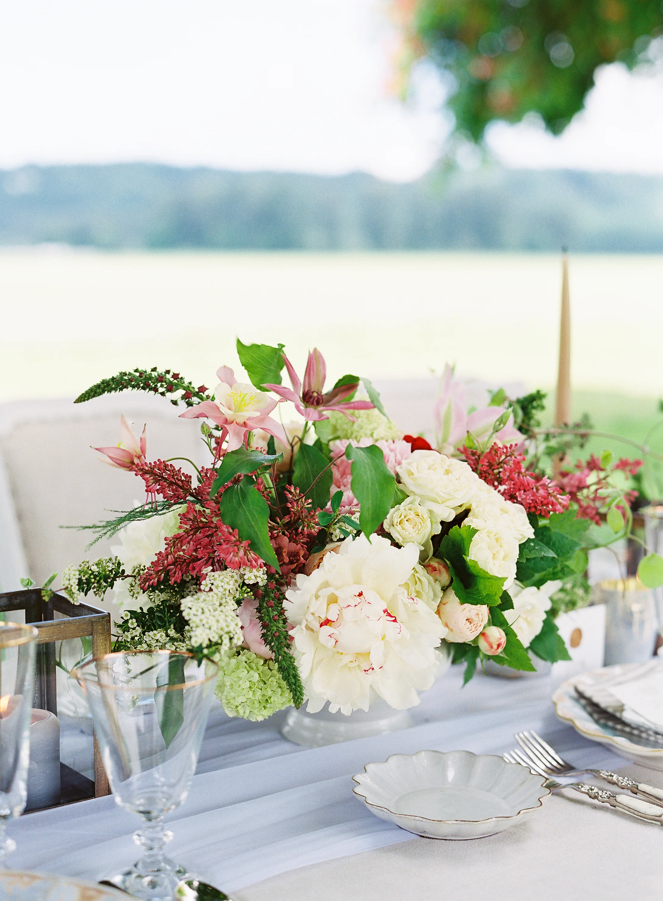 carnation-farms-142.jpg