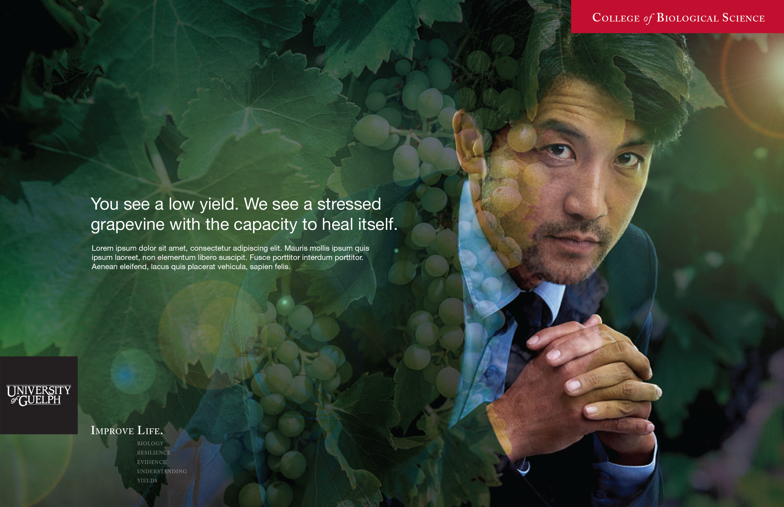 Sub-Brand: College and Directorate Messaging Template