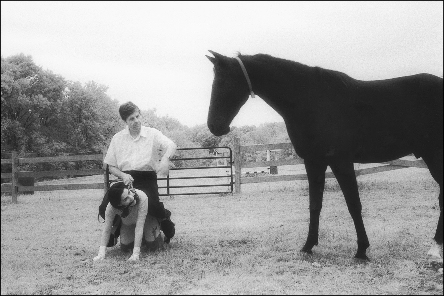   Horse Farm, 1998  