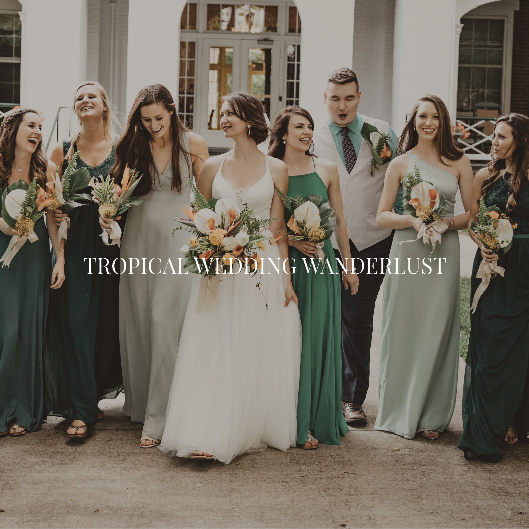 Portfolio Cover Photo_Tropical Wedding Wanderlust.jpg