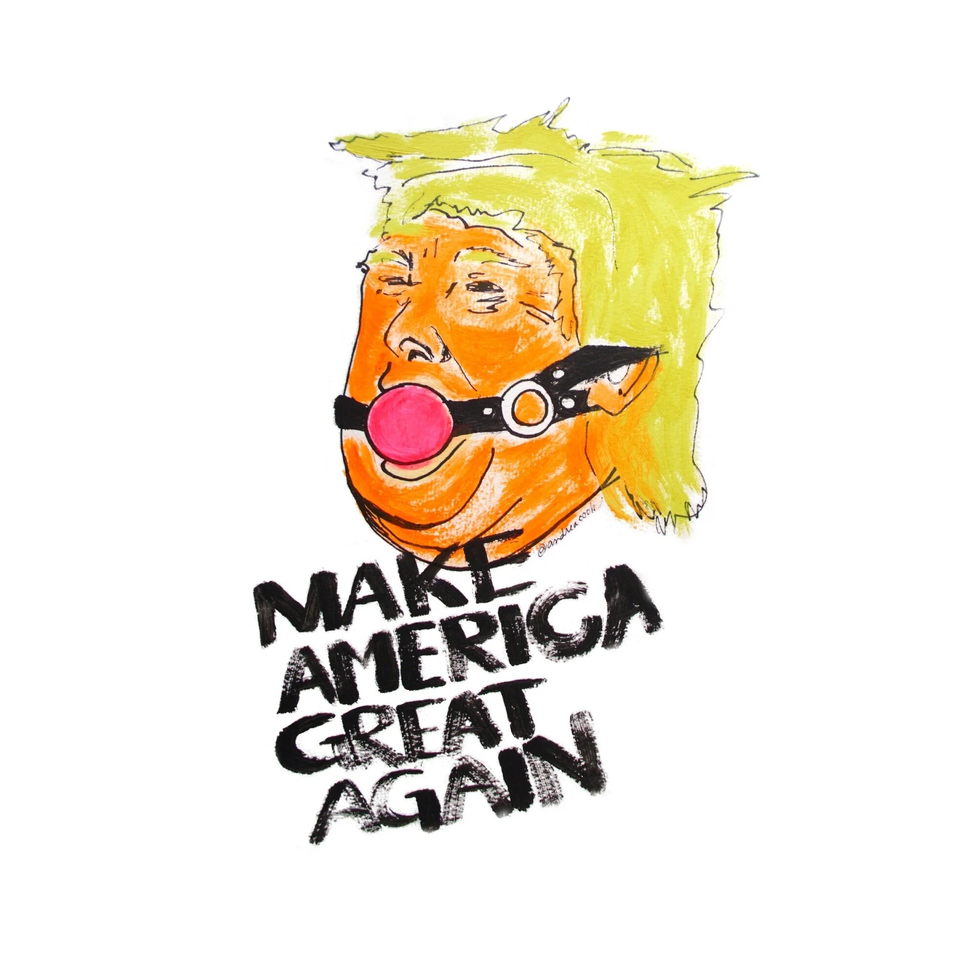  Andrea Cook - "Make America Great Again”