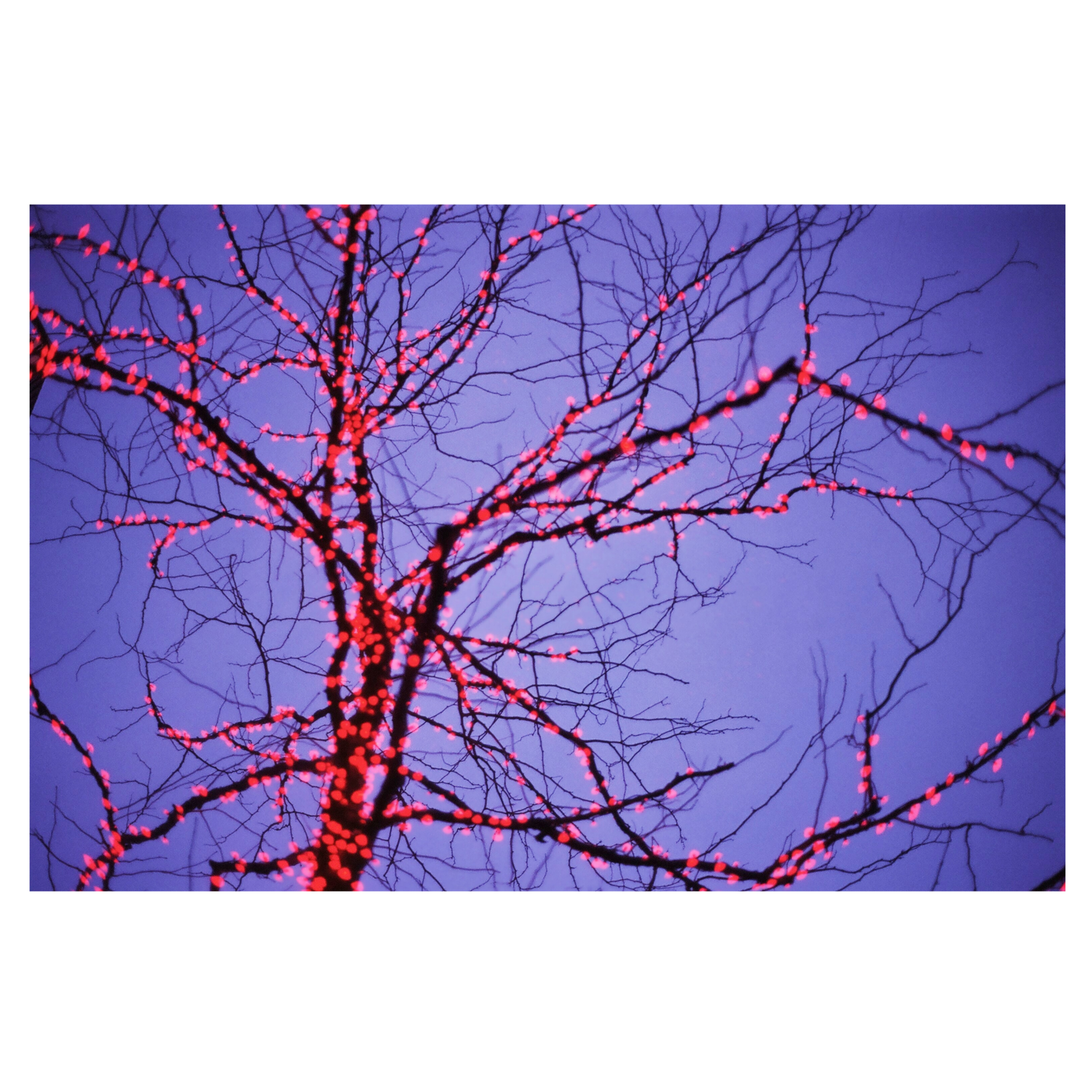 209D5B4E-D43B-4544-8A1B-69E3F3999E7F.png