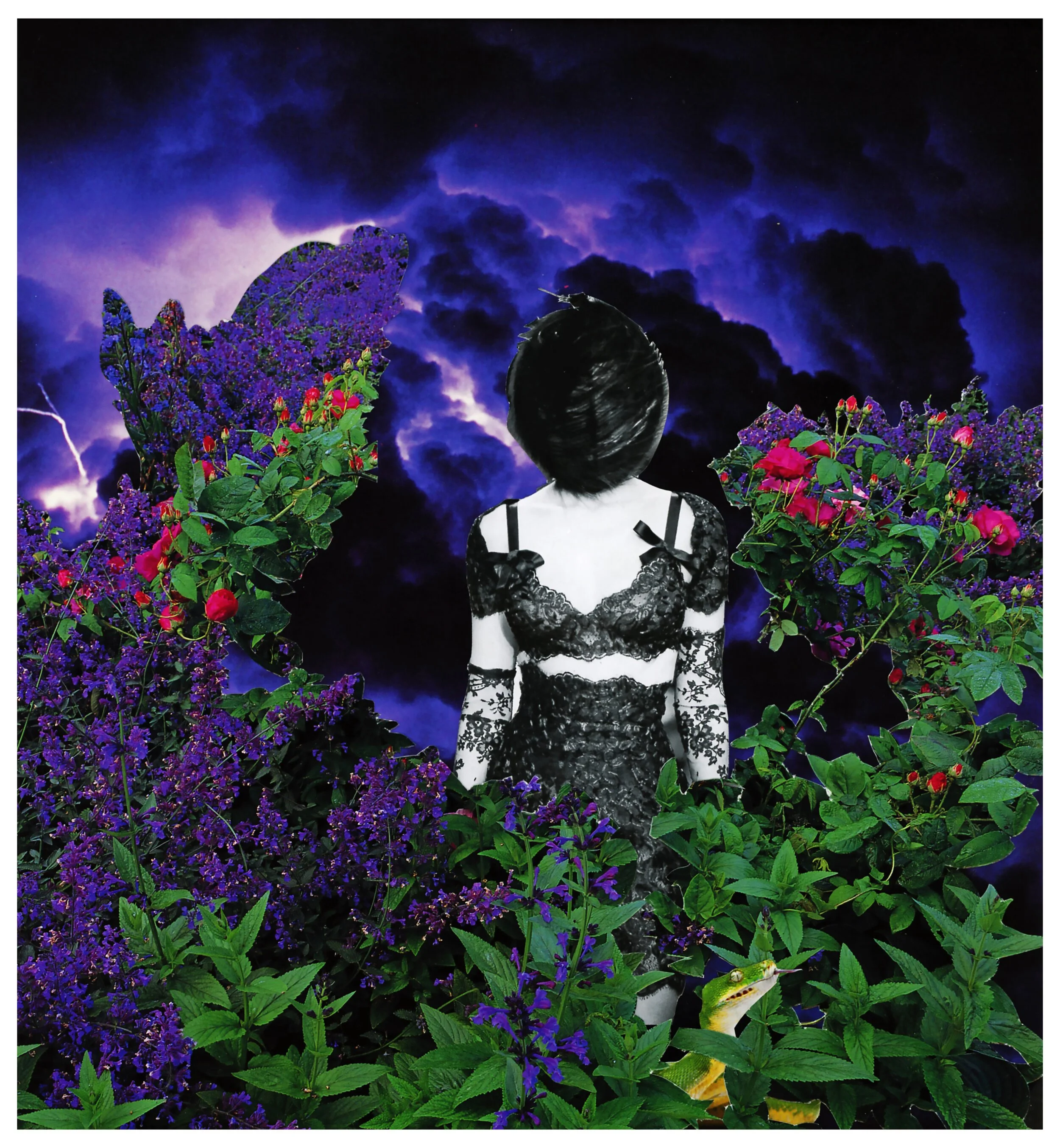 InTheGarden.jpg