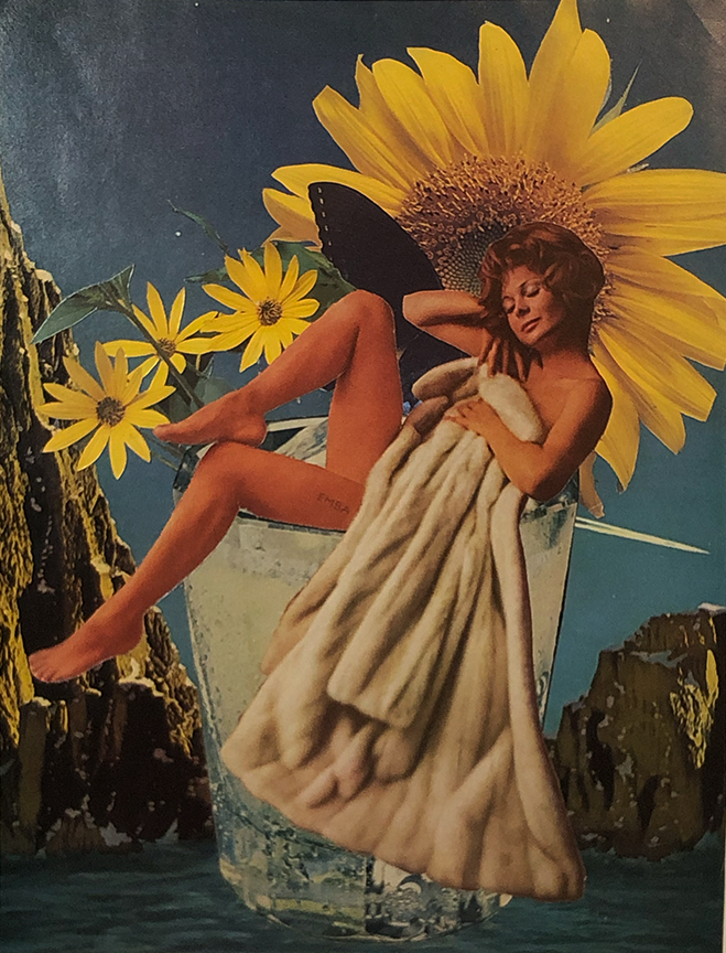 Venus in Furs.png