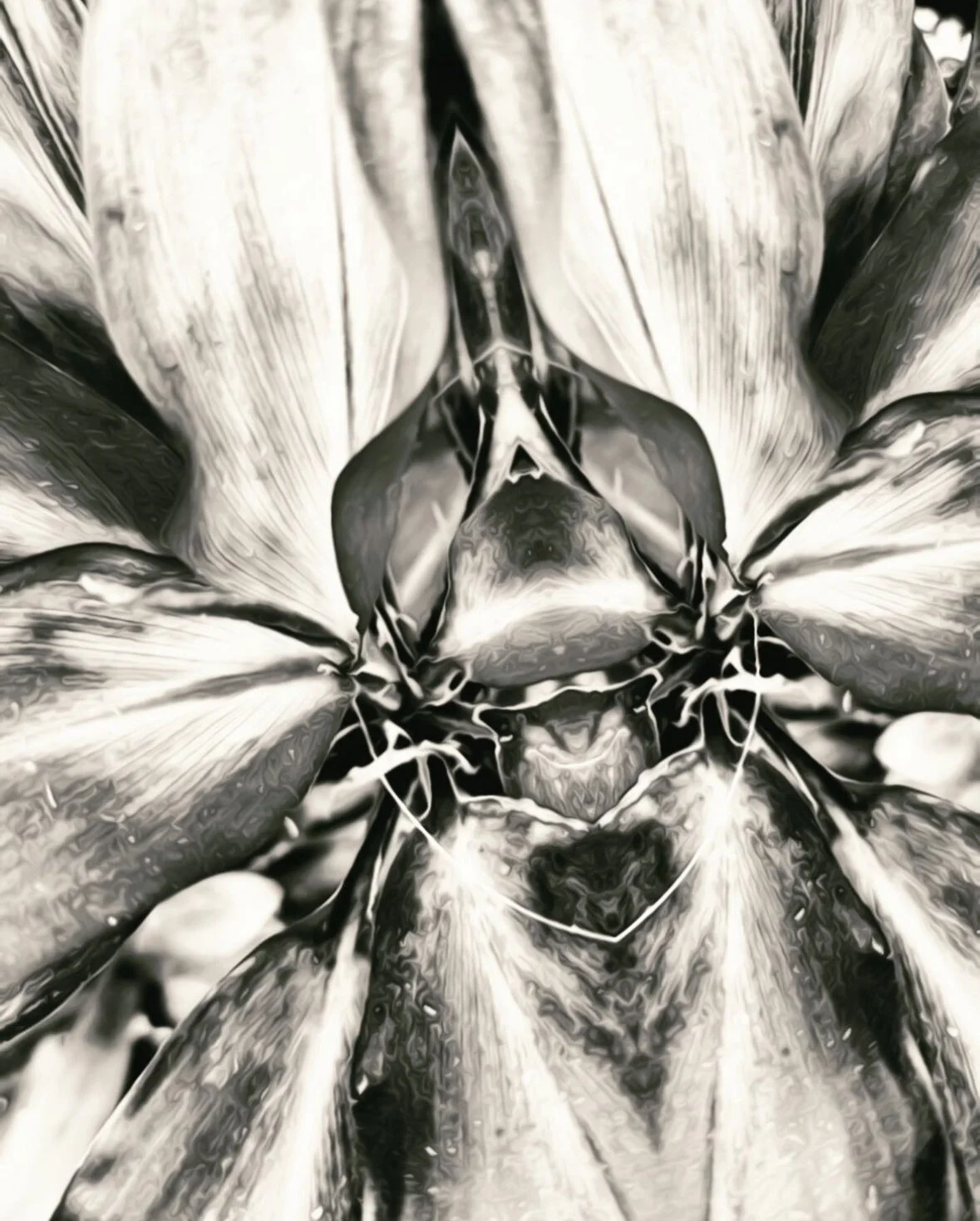 F07AB3E0-E476-4231-9474-F78B0EE894B3