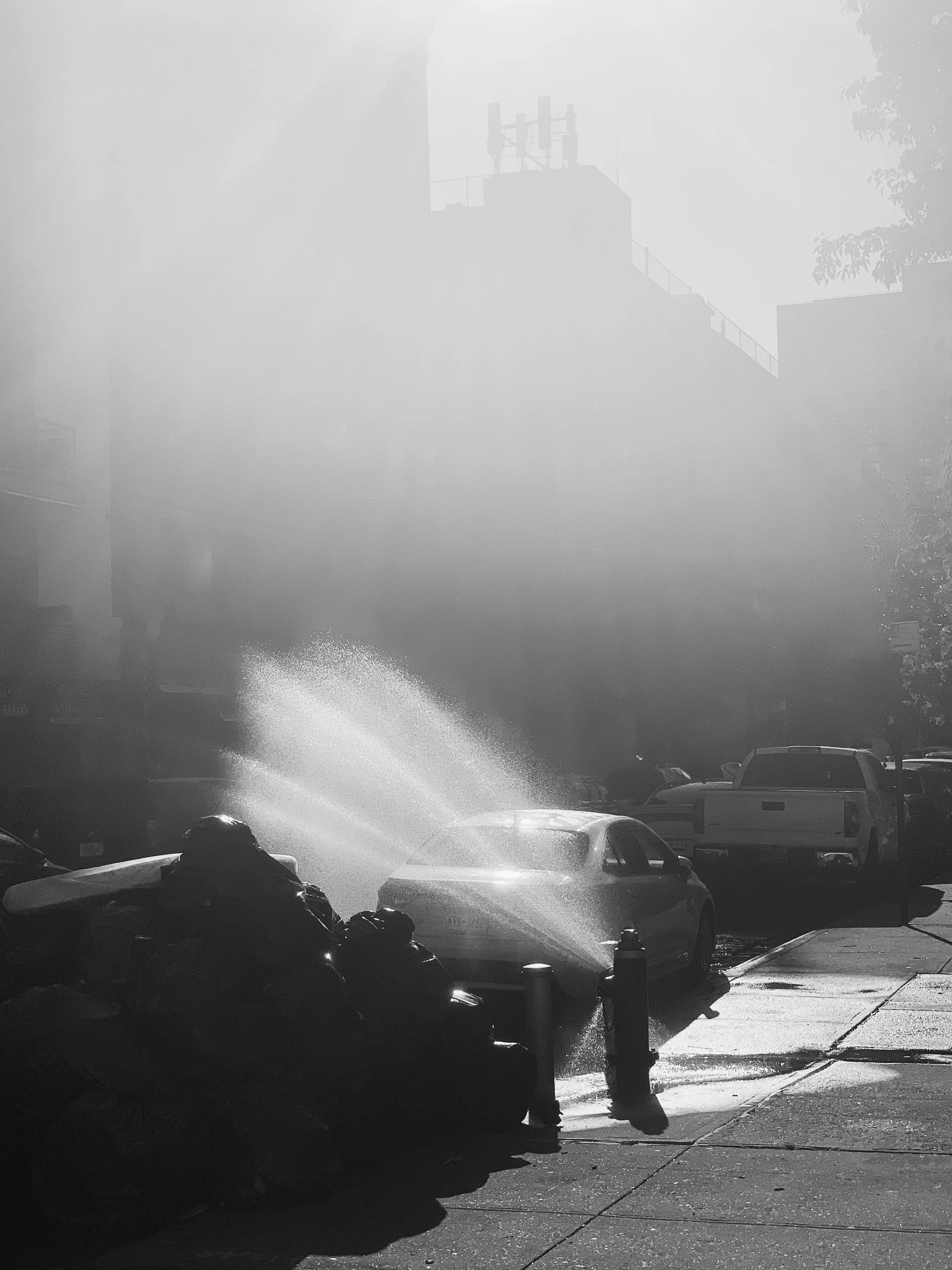 Colin_Chapin_East Harlem Hydrant.JPG
