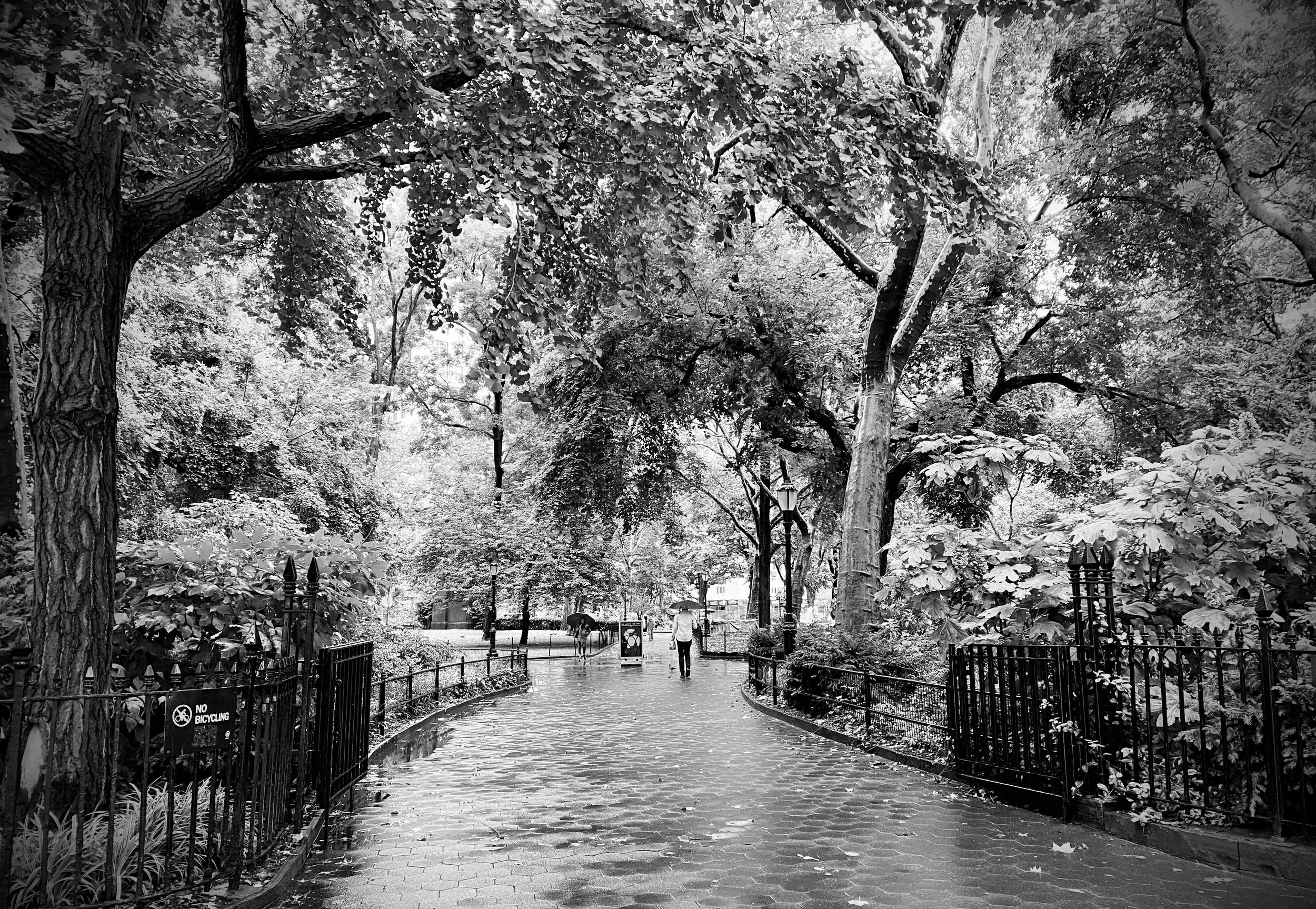 Enshu Chawla - "River Walk City Park"