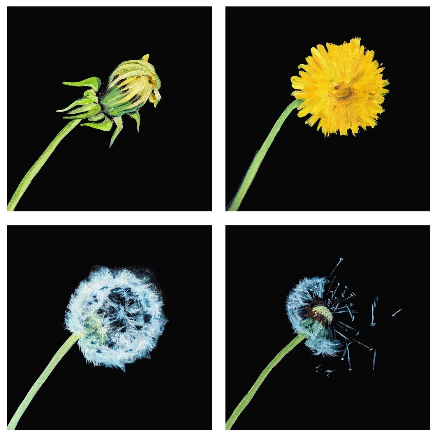 42B6957F-EFB6-4014-AB92-07393FF5374A