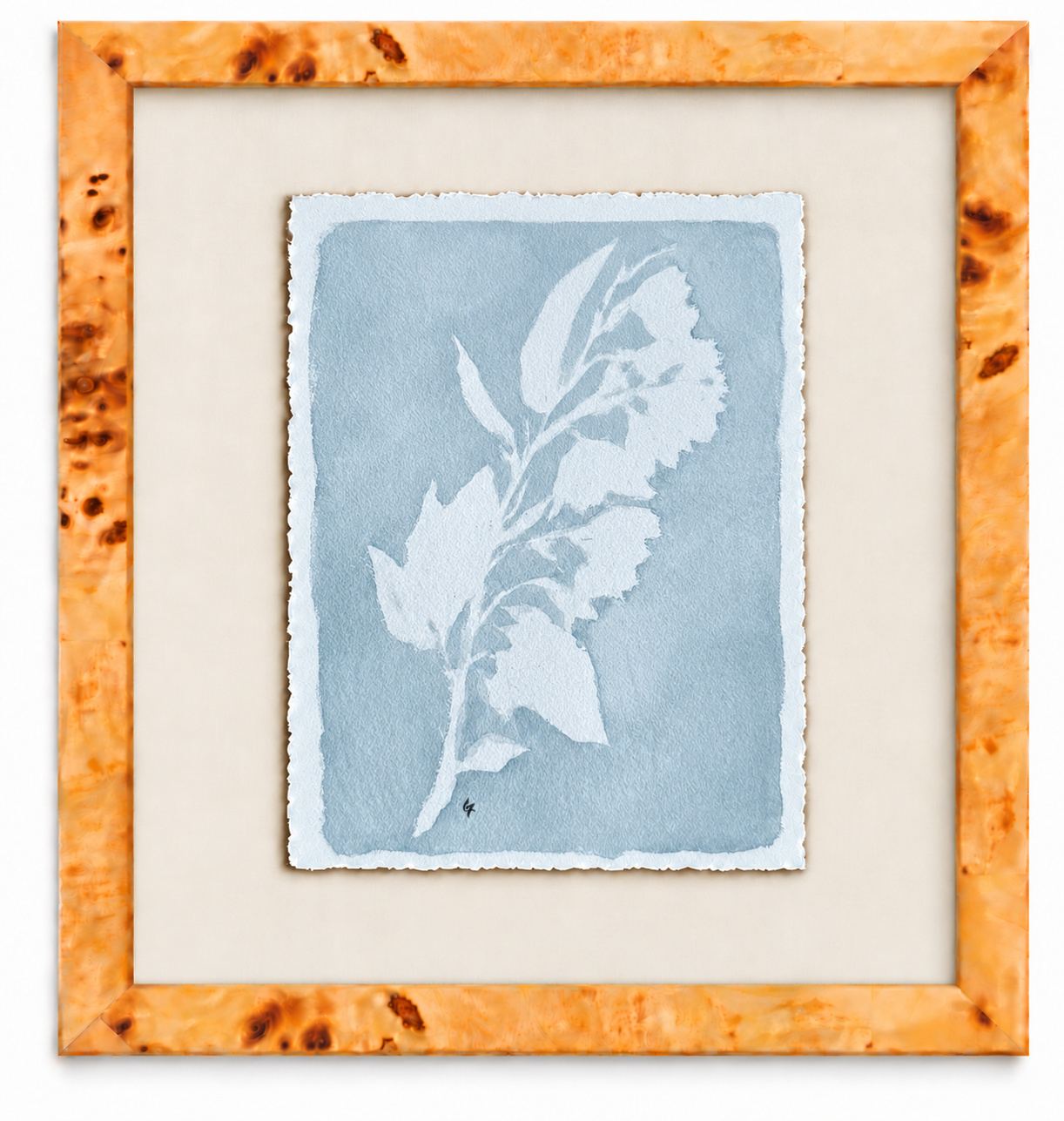 Botanical branch in a burl frame.png