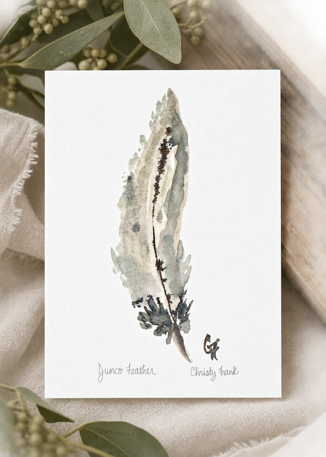 Junco Feather Watercolor Print.png