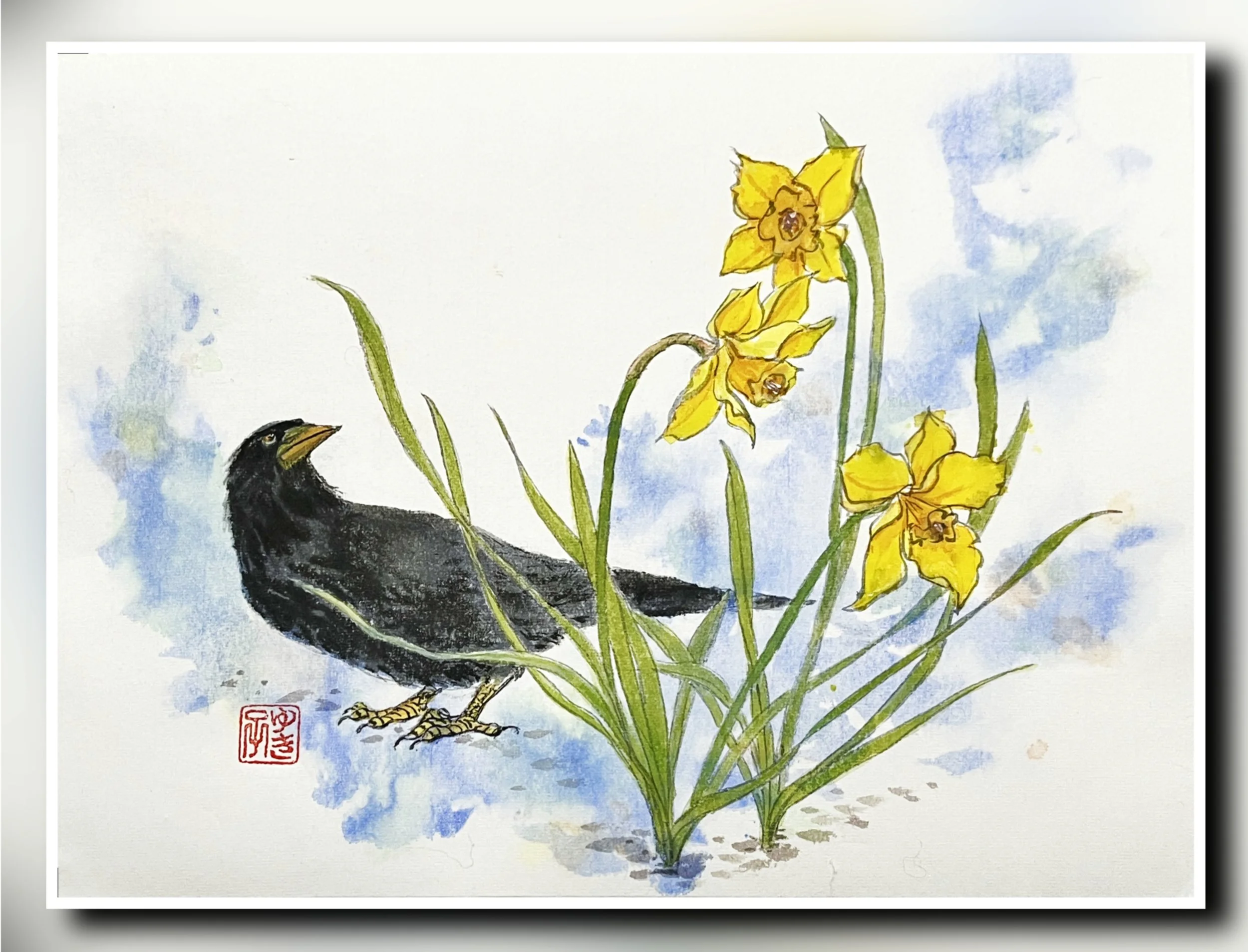 Daffodils and Admirer