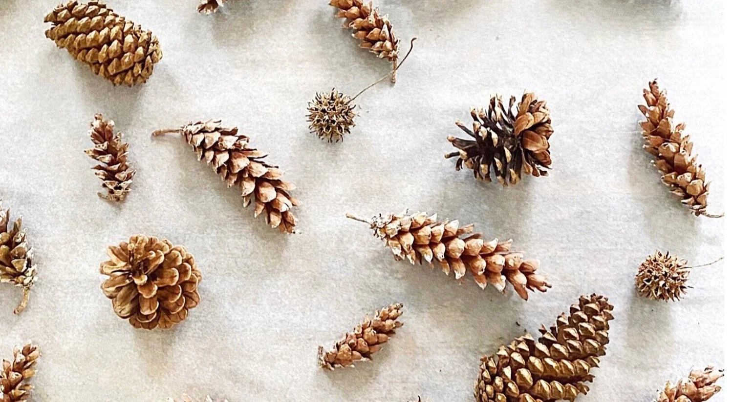 La Jolla Women's Clothing & Gift Boutique Sigi's La Jolla