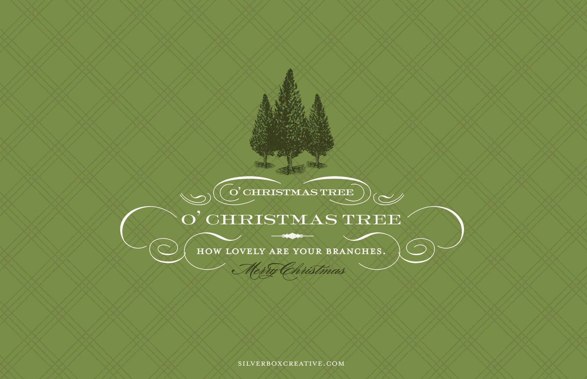 otannenbaum.back.jpg